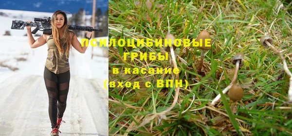 прущая мука Алексин