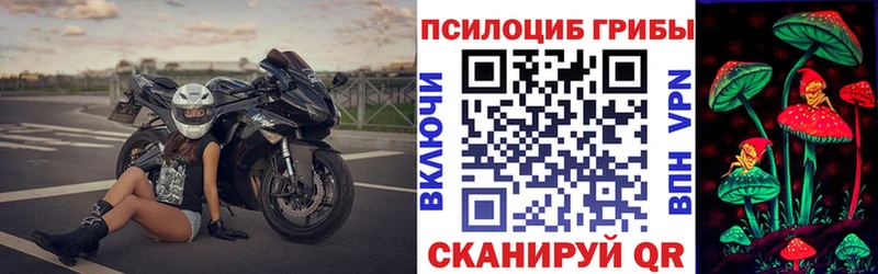 Галлюциногенные грибы мухоморы Петропавловск-Камчатский