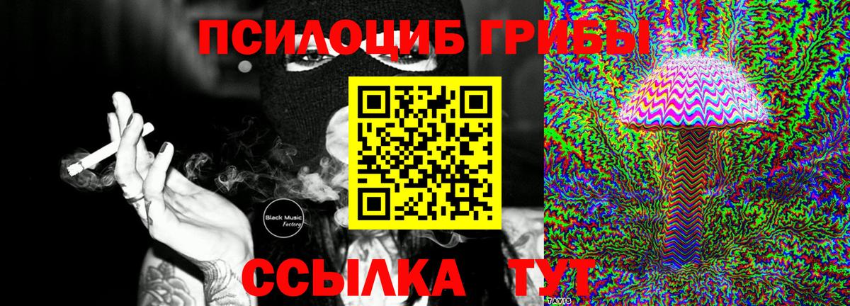 цена наркотик  Галлюциногенные грибы Cubensis  Вход с VPN  Псилоцибиновые грибы мухоморы  Петропавловск-Камчатский 